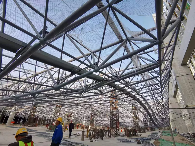 Kōlea Kūleʻa Kōlepa